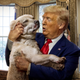 Illustration for article titled Trump Attempts To Soften Image Before Election By Adopting Dead Dog
